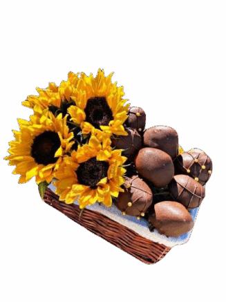 Canasta Sol Encantada