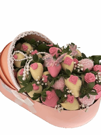 Arreglo Cuna / Niña