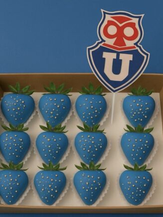 Box U de Chile Topper