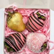 25205b06-0c1d-423a-80e9-1ebe5c0847a4